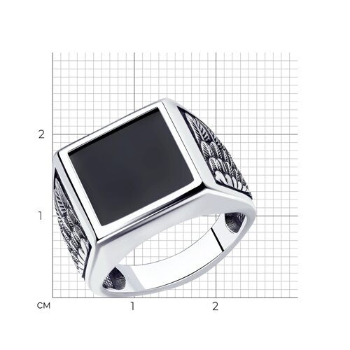 Sokolov 95010176