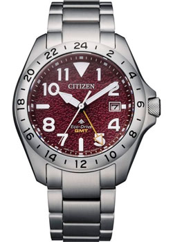 Citizen Promaster