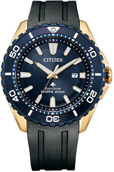Citizen Promaster