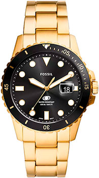 Вся коллекция Fossil Blue